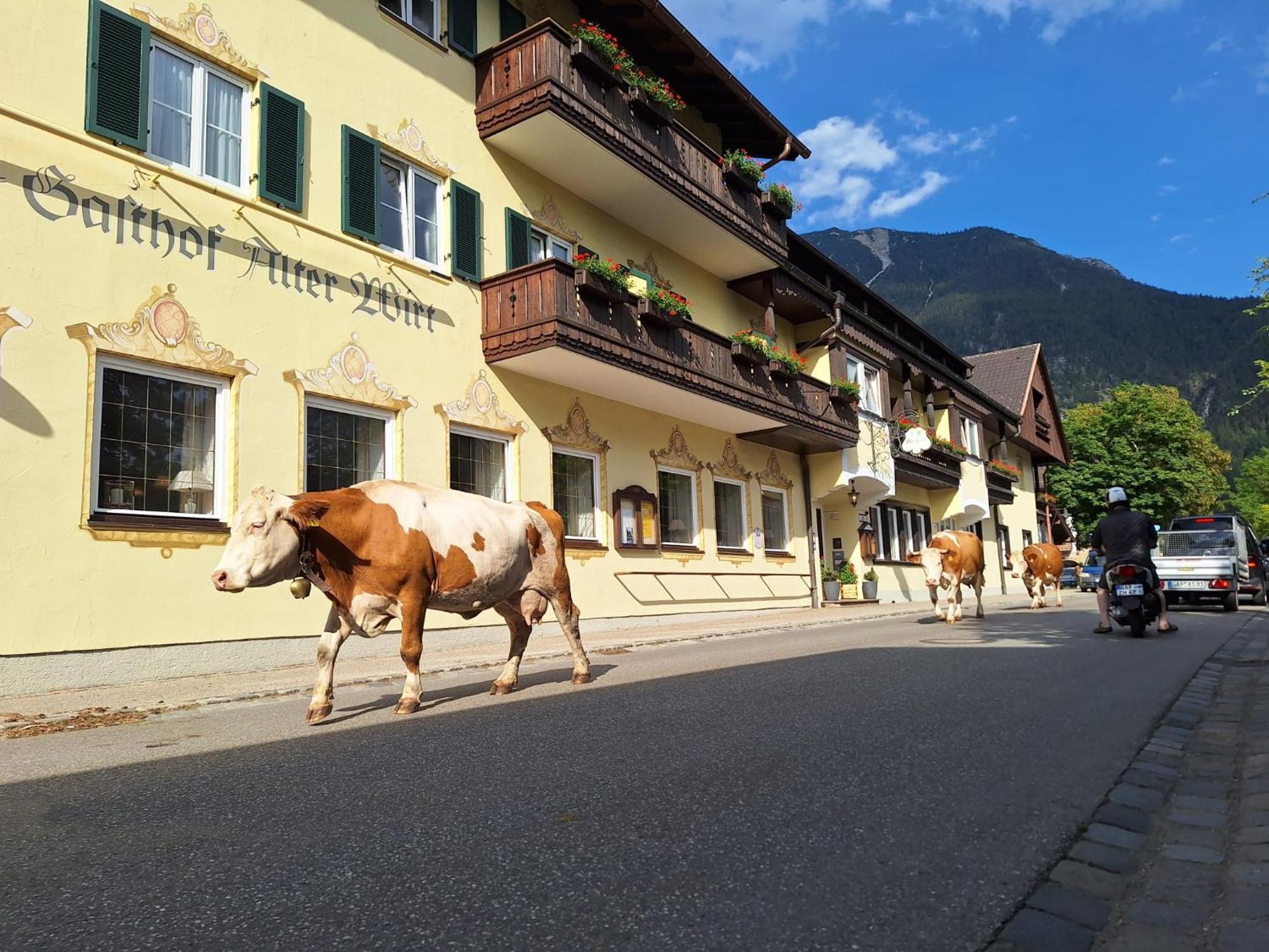 Hotel Gasthof Alter Wirt 파르한트 외부 사진