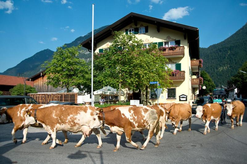 Hotel Gasthof Alter Wirt 파르한트 외부 사진